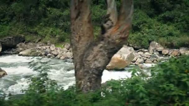 Pasando por Rocky Jungle River — Vídeos de Stock