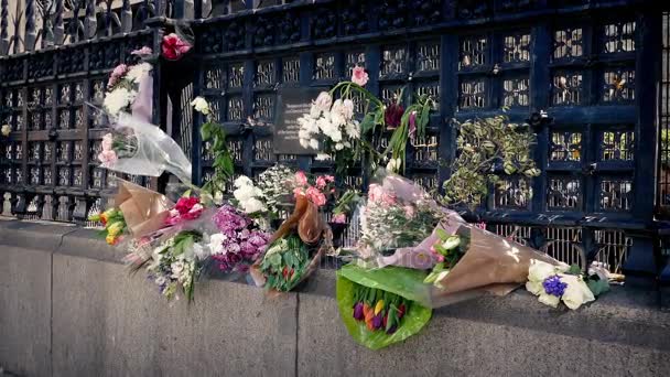 Bloemen op de leuningen In de stad — Stockvideo