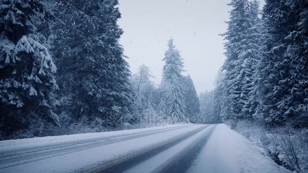 Дорога через лес в снегопад — стоковое видео