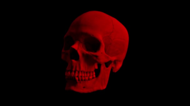 Cráneo humano rojo lazo giratorio — Vídeo de stock