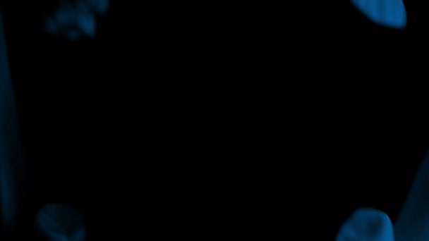 Crâne ouvre la bouche mange appareil photo - 4 versions 