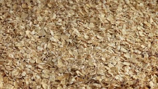 Pile Of Oats Closeup — Stock Video