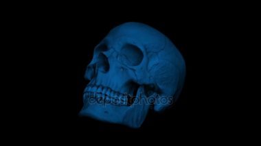 Yetişkin insan kafatası karanlık döngü içinde döndürme