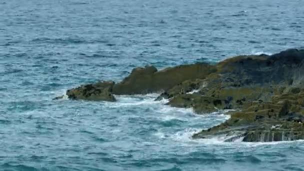 Dalgalar kayalarda kırılıyor — Stok video