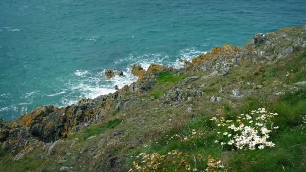 Viento barrido por los acantilados de hierba por el mar — Vídeos de Stock