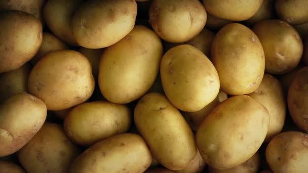 Potatis högen roterande — Stockvideo