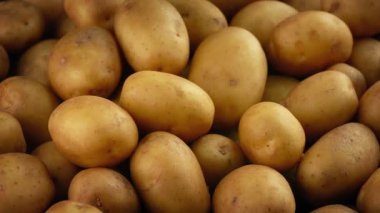Yeni patates kazıklı
