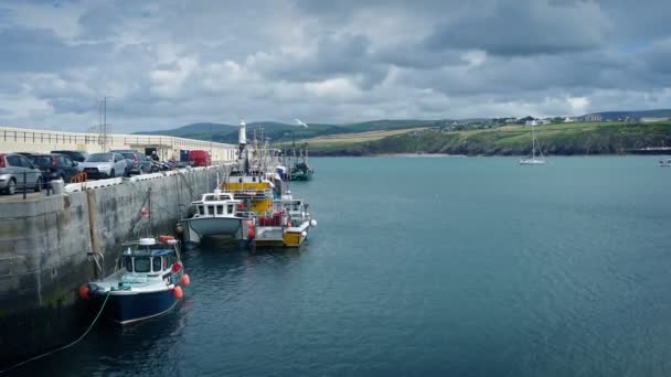 Barcos amarrados por el puerto con gaviotas revoloteando — Vídeos de Stock