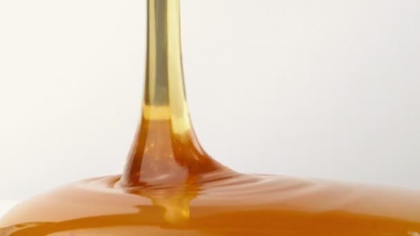 Honey Poured On Plain Background — Stock Video