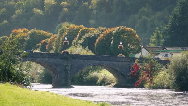 Scena pacifica del ponte sul fiume con veicoli che passano — Video Stock