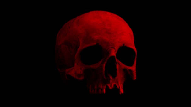 Red Old Skull Rotating Slowly Loop — Stock Video