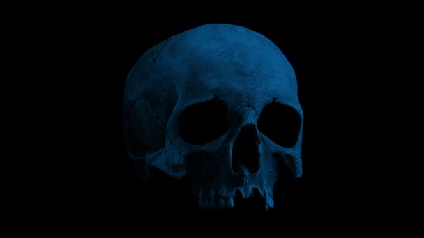 Old Human Skull Rotating In The Dark Loop — Stock Video