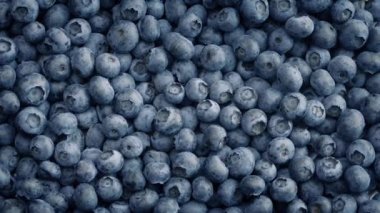 Yavaş yavaş yaban mersini kazık