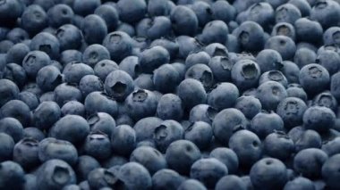 Yaban mersini closeup döndürme