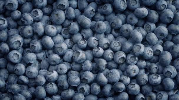 Blueberry Pile Turning Медленно — стоковое видео