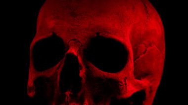 Kırmızı eski kafatası closeup döngü döndürme