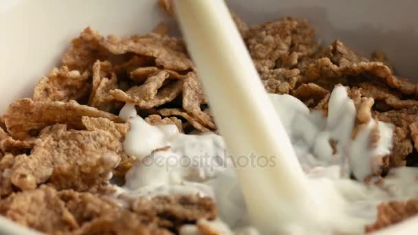 Derrames Leite Cereal Closeup — Vídeo de Stock