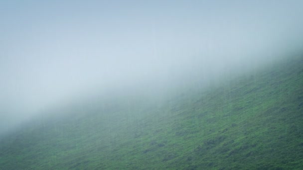 Misty Hillside Lluvia — Vídeos de Stock