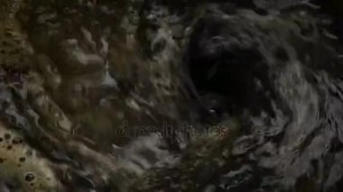 Kahverengi madde lavabo yıkar