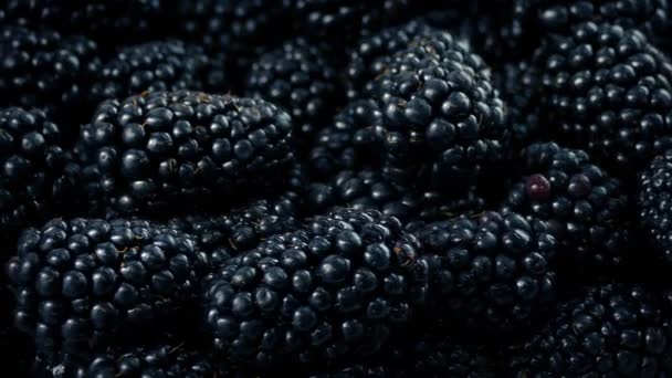 Mangkuk Blackberries Memutar — Stok Video