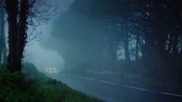 雨中的汽车驶过乡间 — 图库视频影像