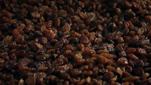 Raisins Pile Rotating Closeup — Stock Video