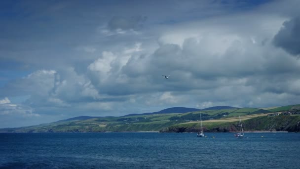 沖にボートで劇的な海の風景 — ストック動画