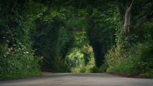 Yaz Kırsal Yoluyla Yol Görünümünü Giriş Katı — Stok video