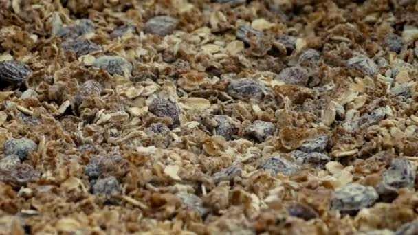 Muesli Ontbijtgranen Roterende Closeup — Stockvideo