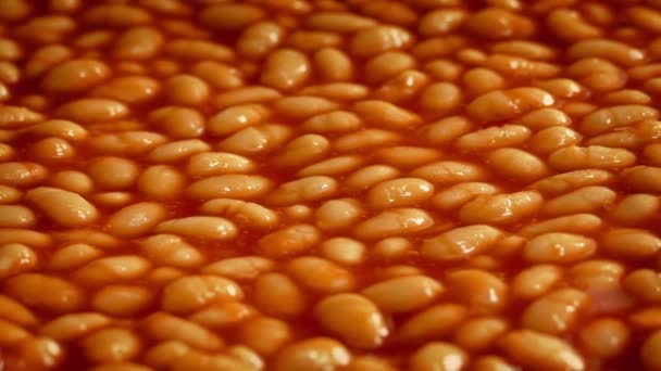 Baked Beans Closeup Shot — Stock Video