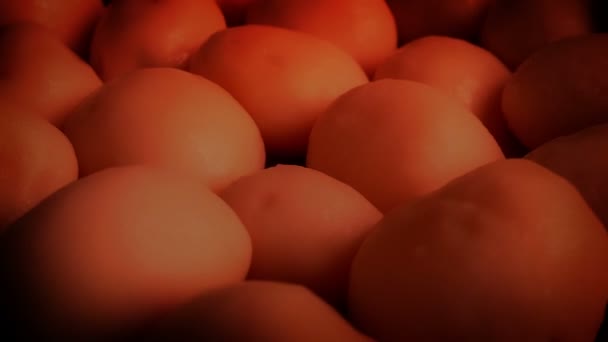 Картопляне Пюре Готуємо Духовці — стокове відео