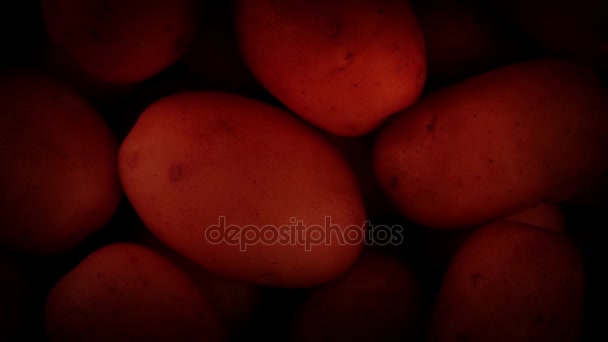 Batatas Cozinhando Forno — Vídeo de Stock