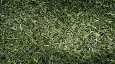 Yeşil çay Closeup döndürme