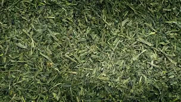 Zelený Čaj Rotující Closeup — Stock video