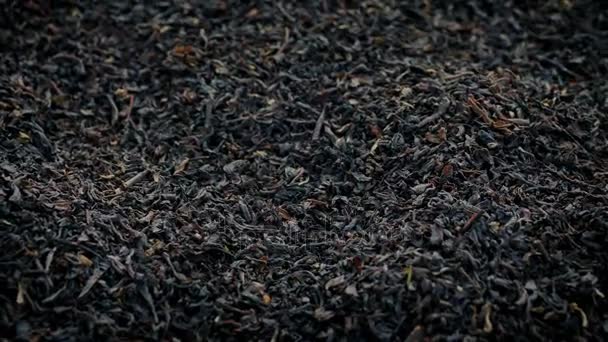 Feuilles de thé Rotation artistique Gros plan 