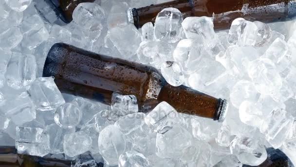Cold Beers Packed Ice — Stock Video