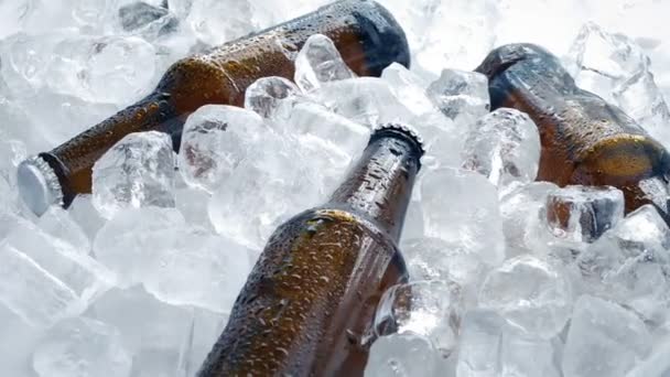 Cervejas Cubos Gelo Girando — Vídeo de Stock