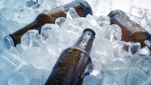 Bouteilles de bière emballées dans de la glace 