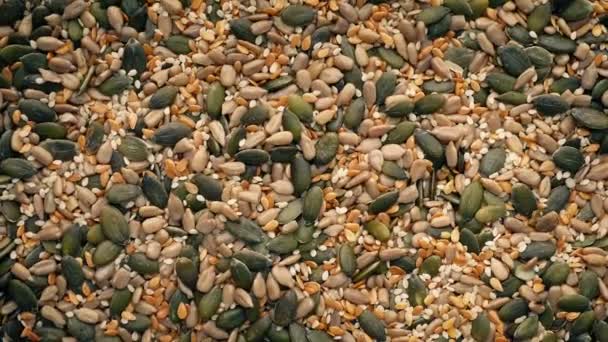Pile Seeds Health Food — Stock Video
