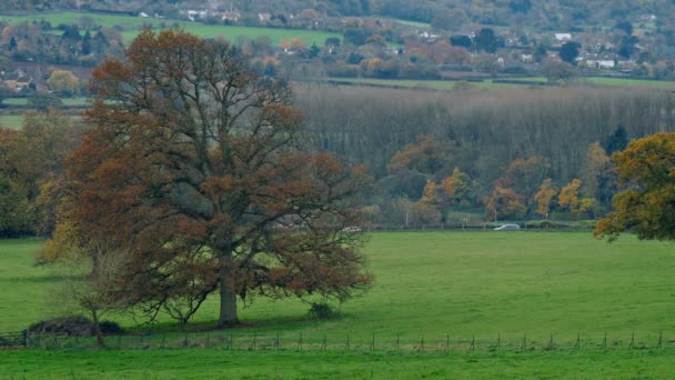 Paisaje Rural Con Coches Que Pasan Campos — Vídeo de stock