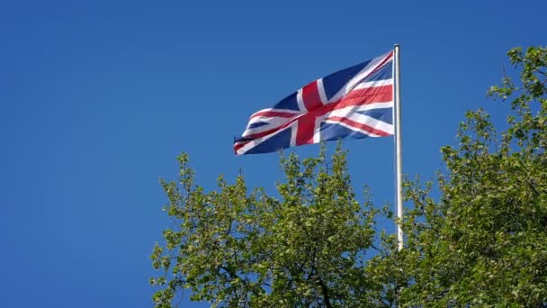 Union Jack Drapeau Dessus Des Arbres Dans Vent — Video