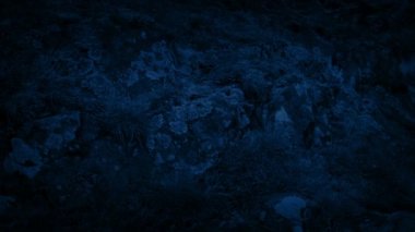 Kayalık fosillerini geceleri hareketli