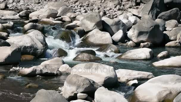 Rocky River Ηλιόλουστη Ημέρα — Αρχείο Βίντεο