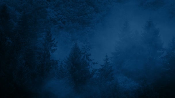 Dramática Misty Wilderness Forest Por Noche — Vídeo de stock