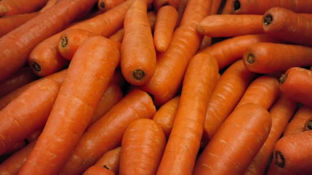 Проходящая Куча Моркови — стоковое видео