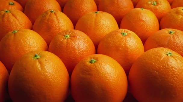 Filas Paso Naranjas — Vídeos de Stock