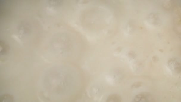 Pot Bubbling Broth Closeup — Stok Video