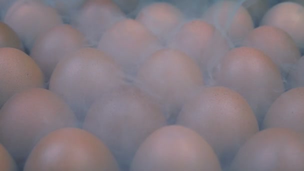 Huevos Almacenamiento Frío Con Vapor Helado Moviéndose Sobre — Vídeos de Stock