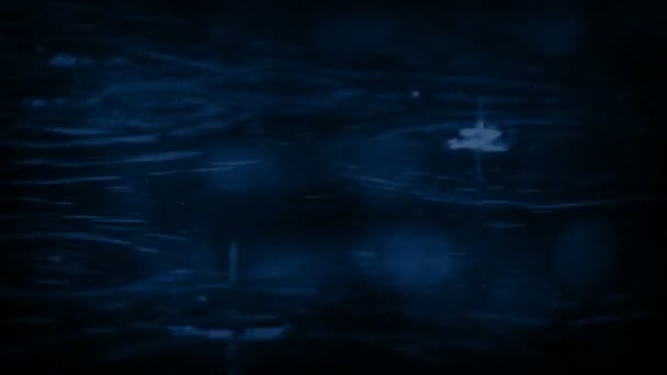 Gotas Chuva Superfície Água Noite — Vídeo de Stock
