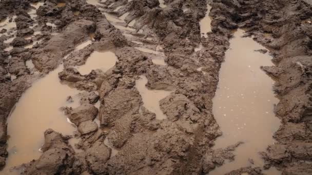 Moving Big Tire Tracks Mud — Stock Video